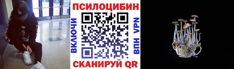 Псилоцибиновые грибы Cubensis  Среднеколымск 