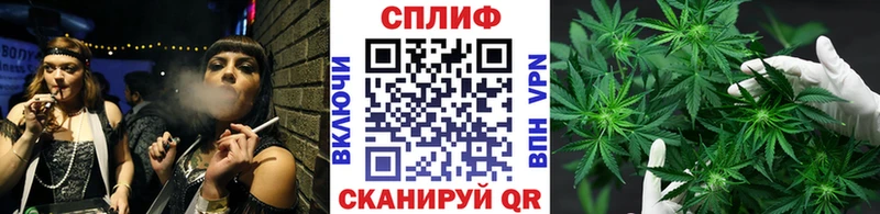 наркотики  Среднеколымск  Бошки Шишки сатива 